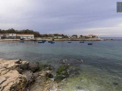 In mare, con lo sfondo della struttura di uno storico camping, sono ormeggiati numerosi �gozzi�...